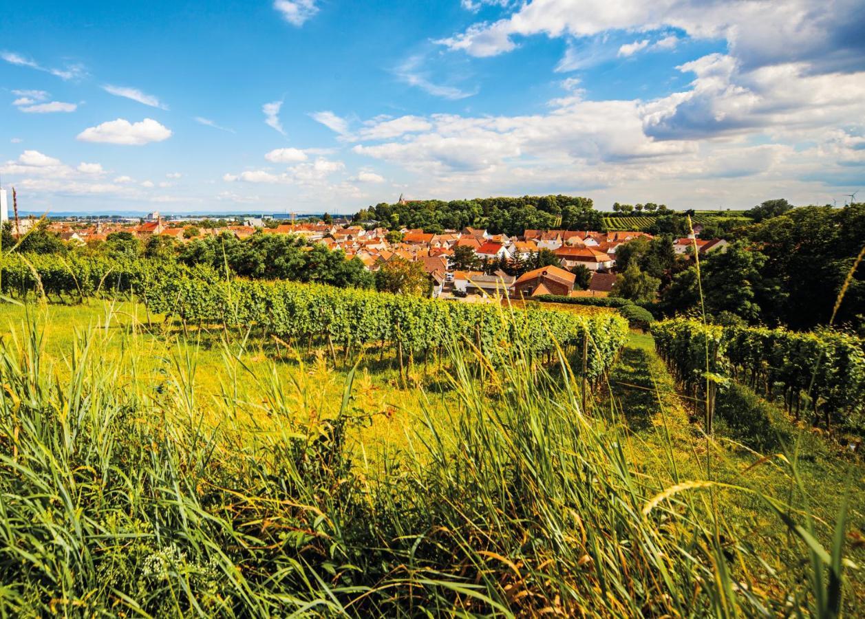 Gaestehaus Steinmuehle Osthofen Kültér fotó