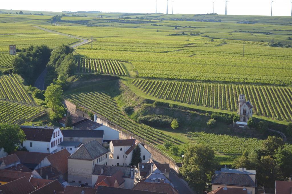 Gaestehaus Steinmuehle Osthofen Kültér fotó